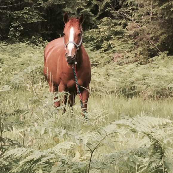 Meet your Posher, Michelle - Picture 2 of 2